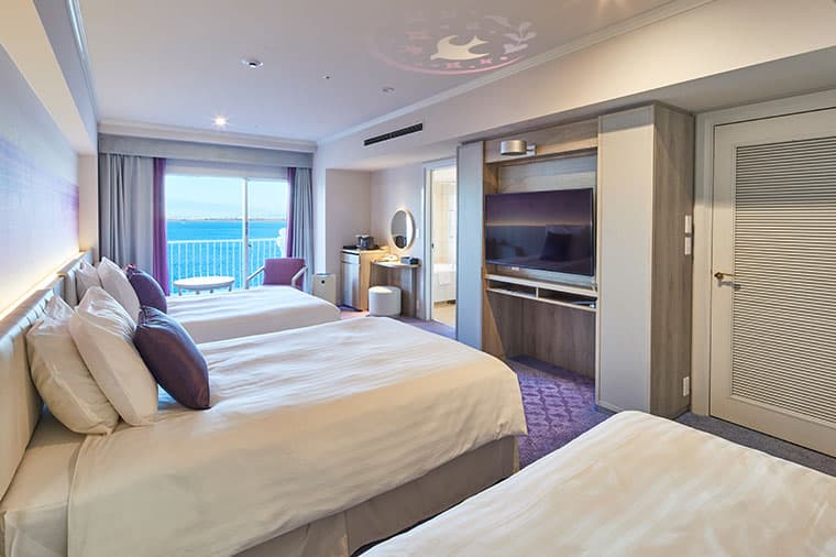 image:Nikko Deluxe Room