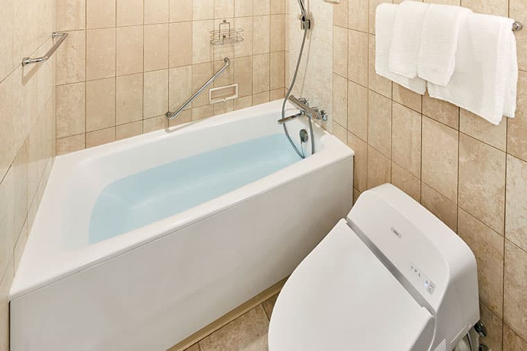 image:Nikko Standard Room